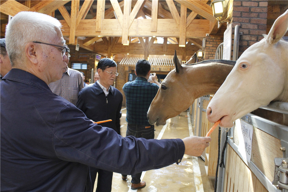 ͼƬҪº¦´Ê ͼƬҪº¦´Ê