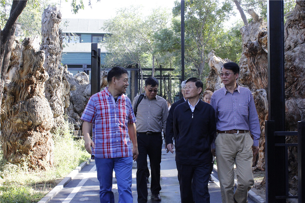 ͼƬҪº¦´Ê ͼƬҪº¦´Ê