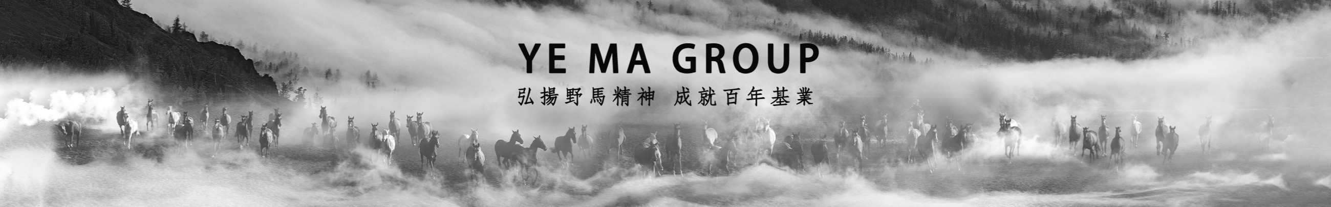 BB���ӡ�(china)�ٷ���վ