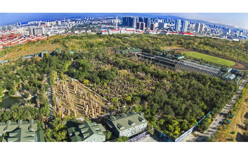 �½������˶�Э�Ὠ��