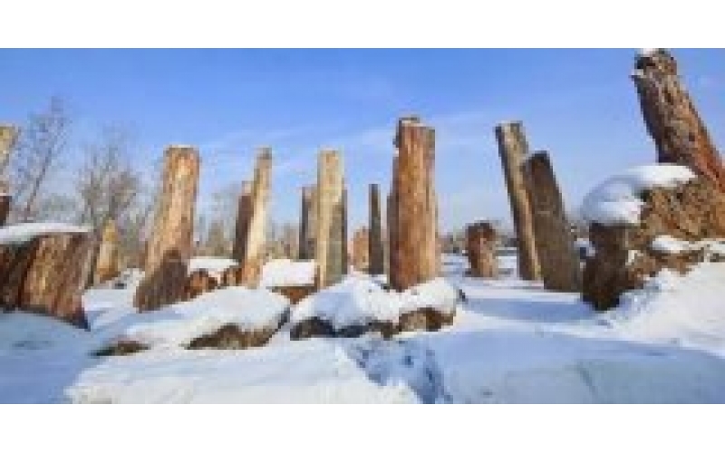 �½�����̬԰����ȫ��ִ�ж�������۸�