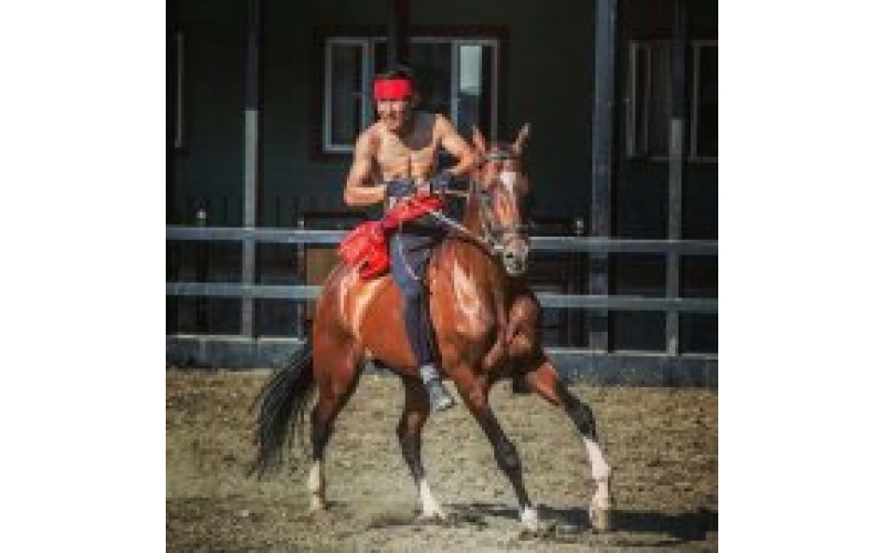 ��������һ��������������Ŀ�ĵ�