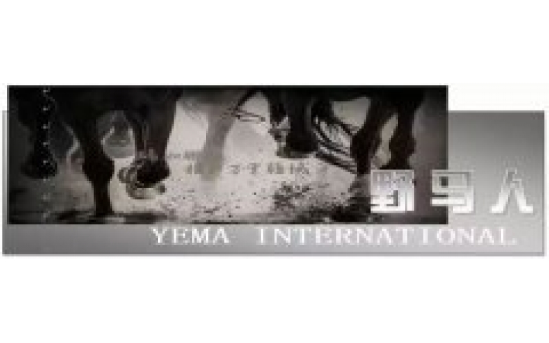 ��³ľ���з����ڷ�����������ȯ��ƾ�������