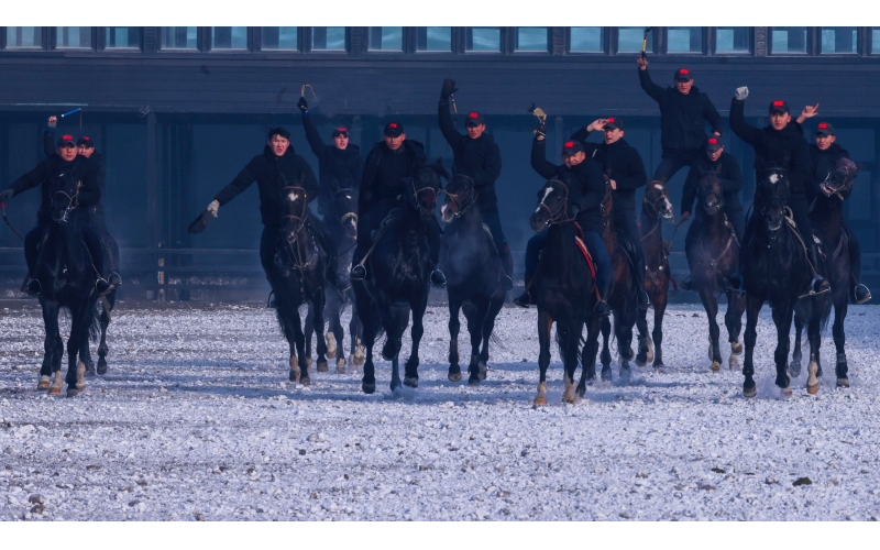 ��Ѫ������