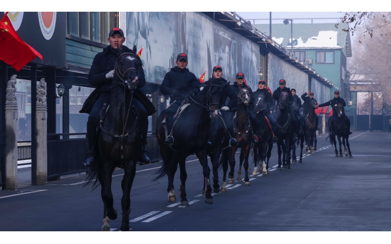 ��Ѫ������