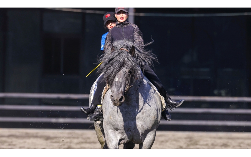 �������