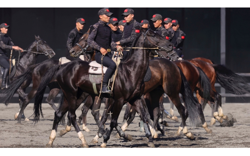 ��Ѫ������