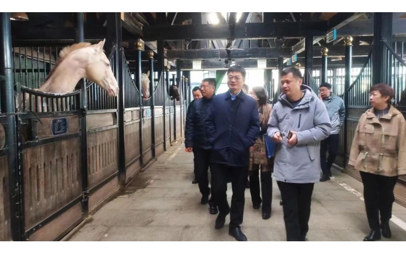 ���׸�������BB���Ӽ��ŵ���ʱ������Ҫͨ���Ƽ���������׼����������ӡ�����