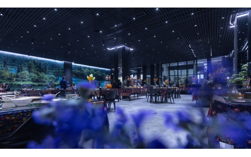 BB����С��