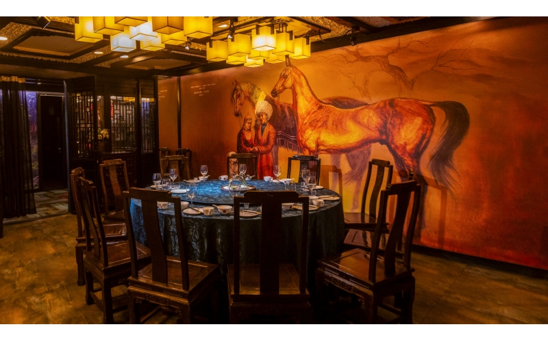 �ϳ�����