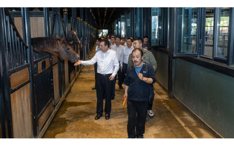 �»����糤����