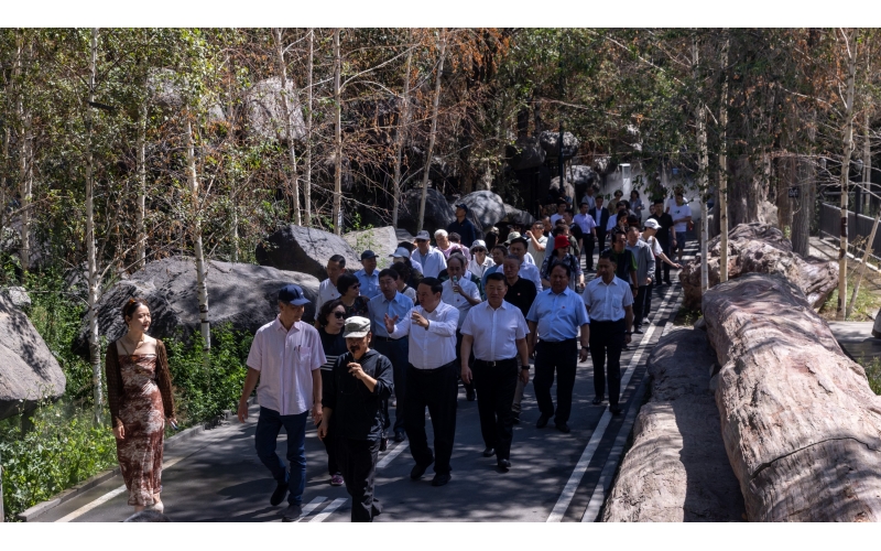 ���ǰ��������Ӣ