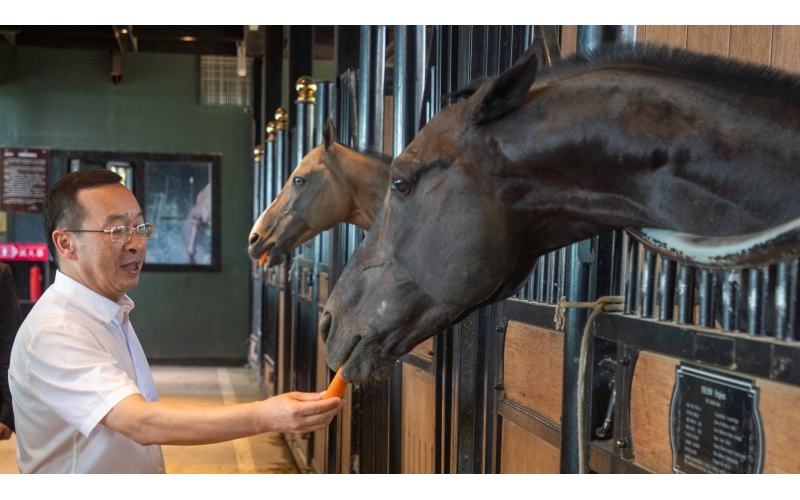 �������糤��½��