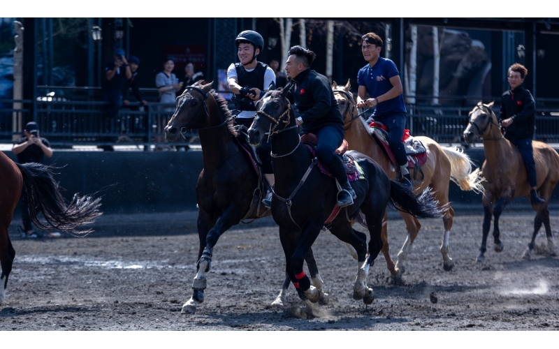 ������ѡ�����