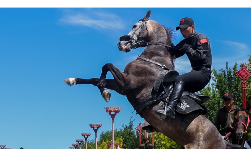 ����̩������Ѳ��