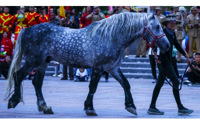 ������185��Ѳ��