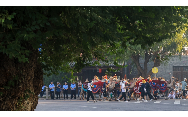 �����ݻ��ǹų�