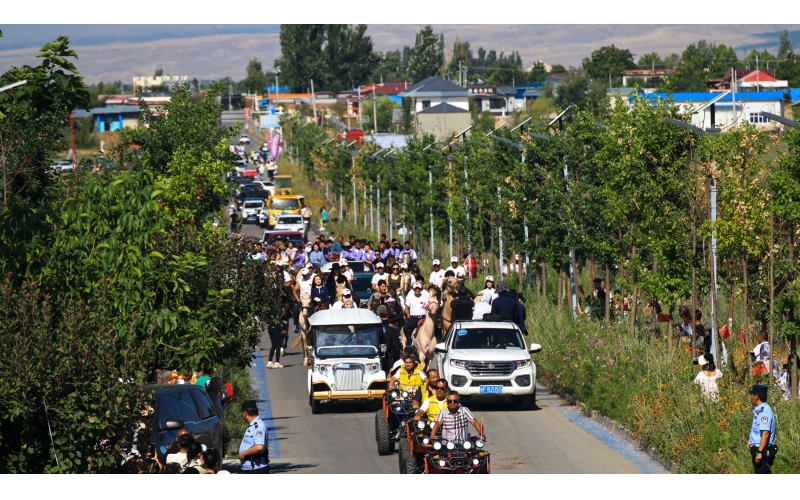 ��������ػλδ�