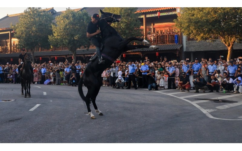 �����ݻ��ǹų�