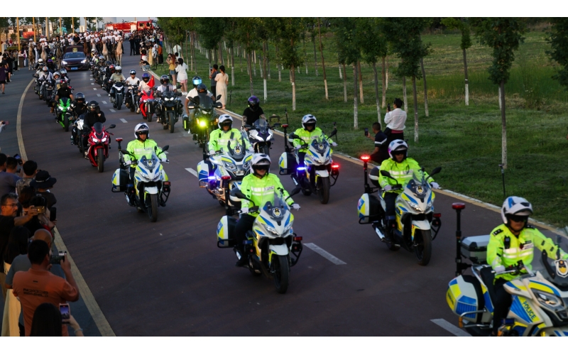 �����ݲ첼�����Ѳ��