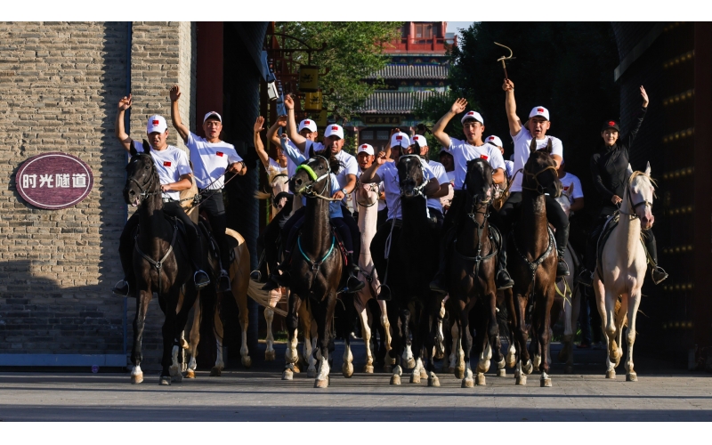 �����ݲ첼�����Ѳ��