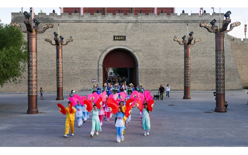 �����ݲ첼�����Ѳ��