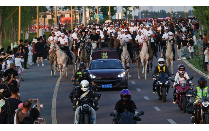 �����ݲ첼�����Ѳ��