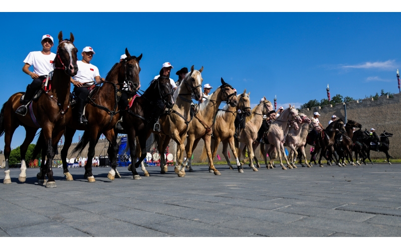 �����ݲ첼�����Ѳ��