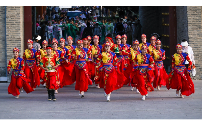 �����ݲ첼�����Ѳ��