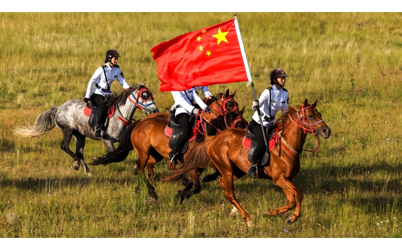 ����ľ��Ѳ��