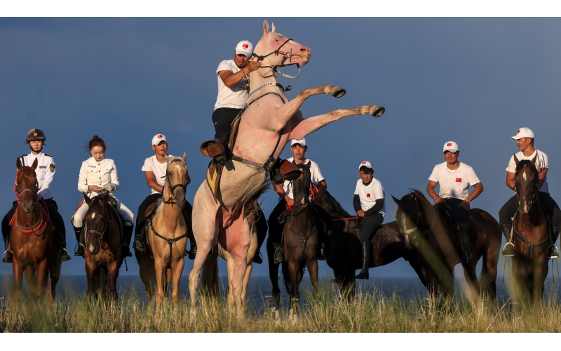 ����ľ��Ѳ��