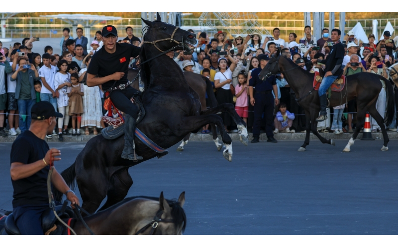 ����Ѳ��