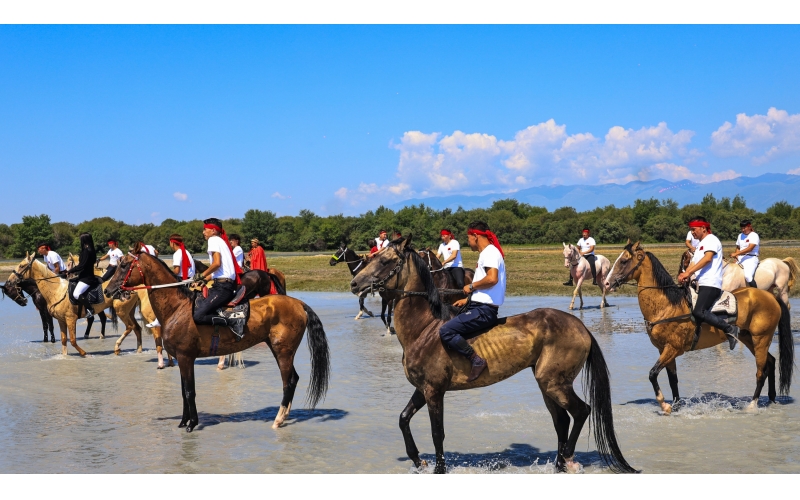 ����ԡ��