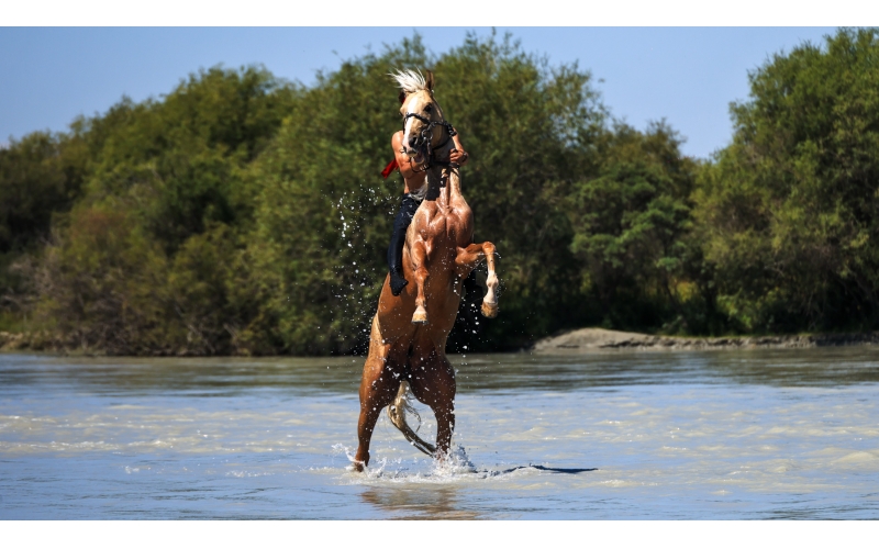 ����ԡ��