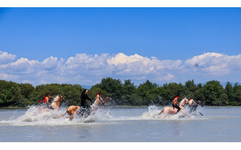 ����ԡ��