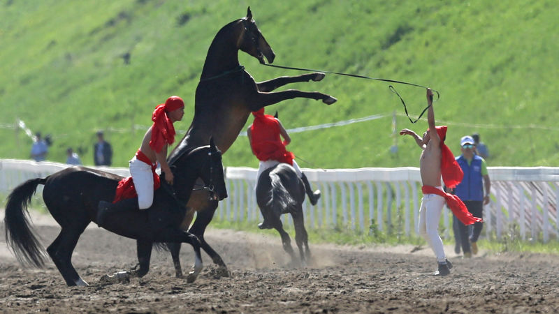 ͼƬҪº¦´Ê ͼƬҪº¦´Ê