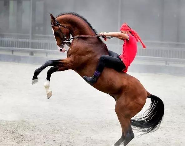 ͼƬҪº¦´Ê ͼƬҪº¦´Ê