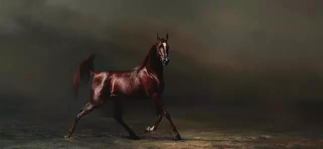 ͼƬҪº¦´Ê ͼƬҪº¦´Ê