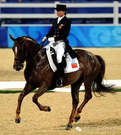 ͼƬҪº¦´Ê ͼƬҪº¦´Ê