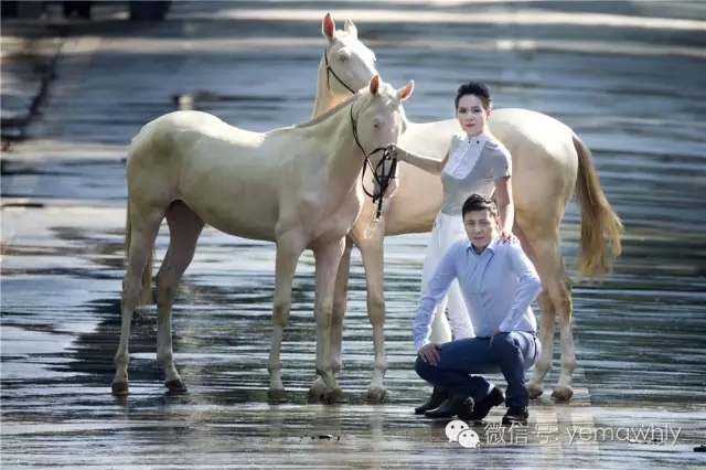 ͼƬҪº¦´Ê ͼƬҪº¦´Ê